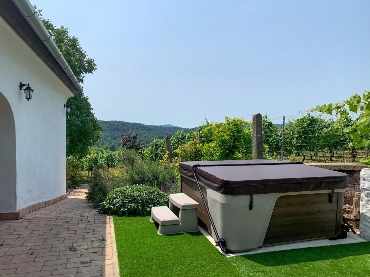 Kali Panorama Birtok Villa Mindszentkalla Luaran gambar