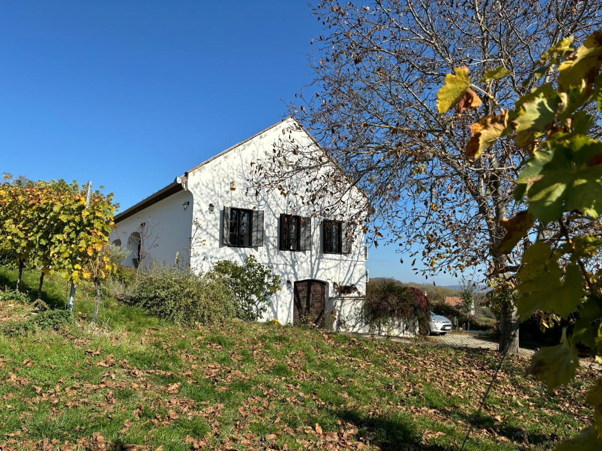 Kali Panorama Birtok Villa Mindszentkalla Luaran gambar